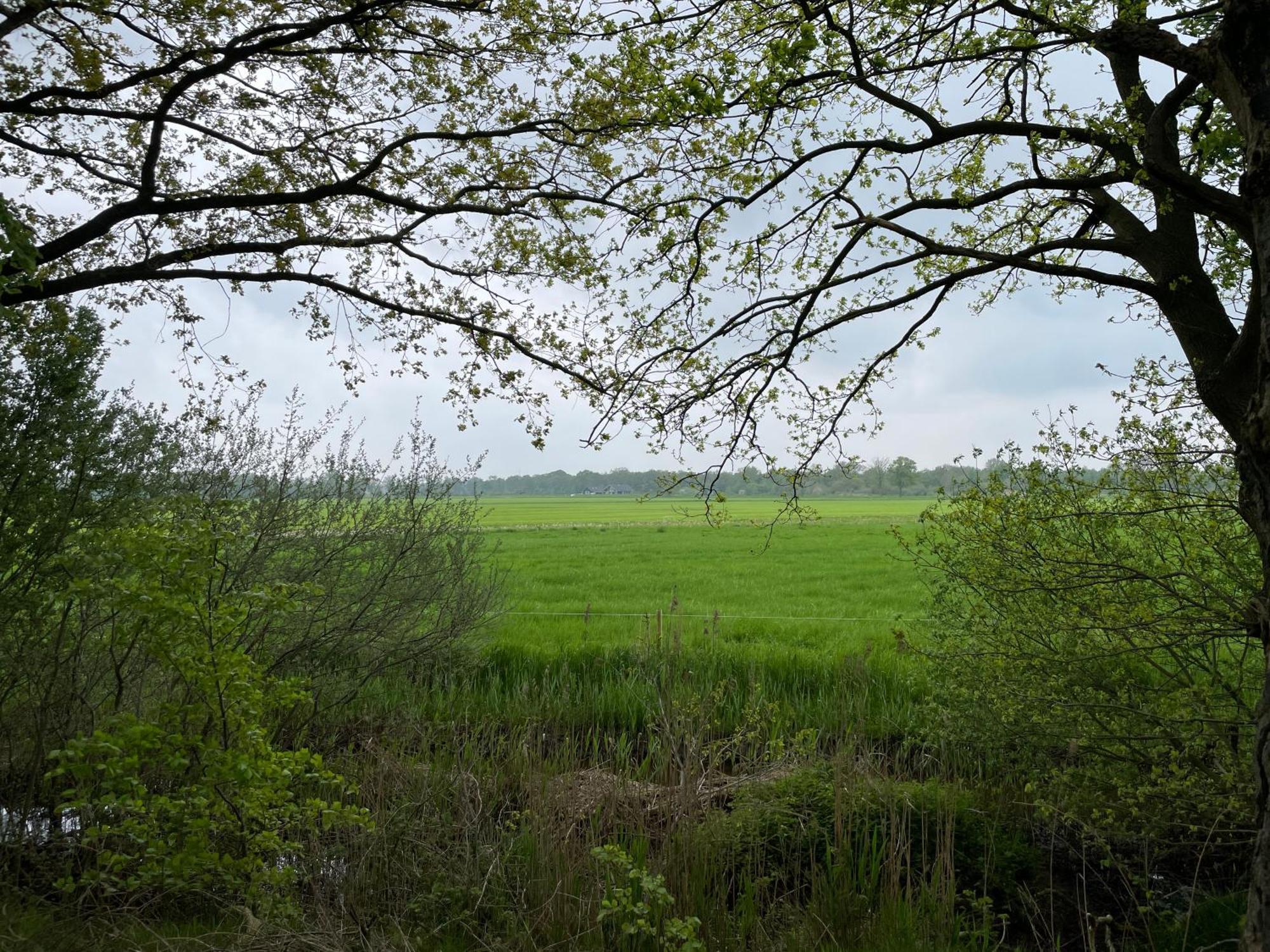 Het Riethuis Holthone Екстериор снимка